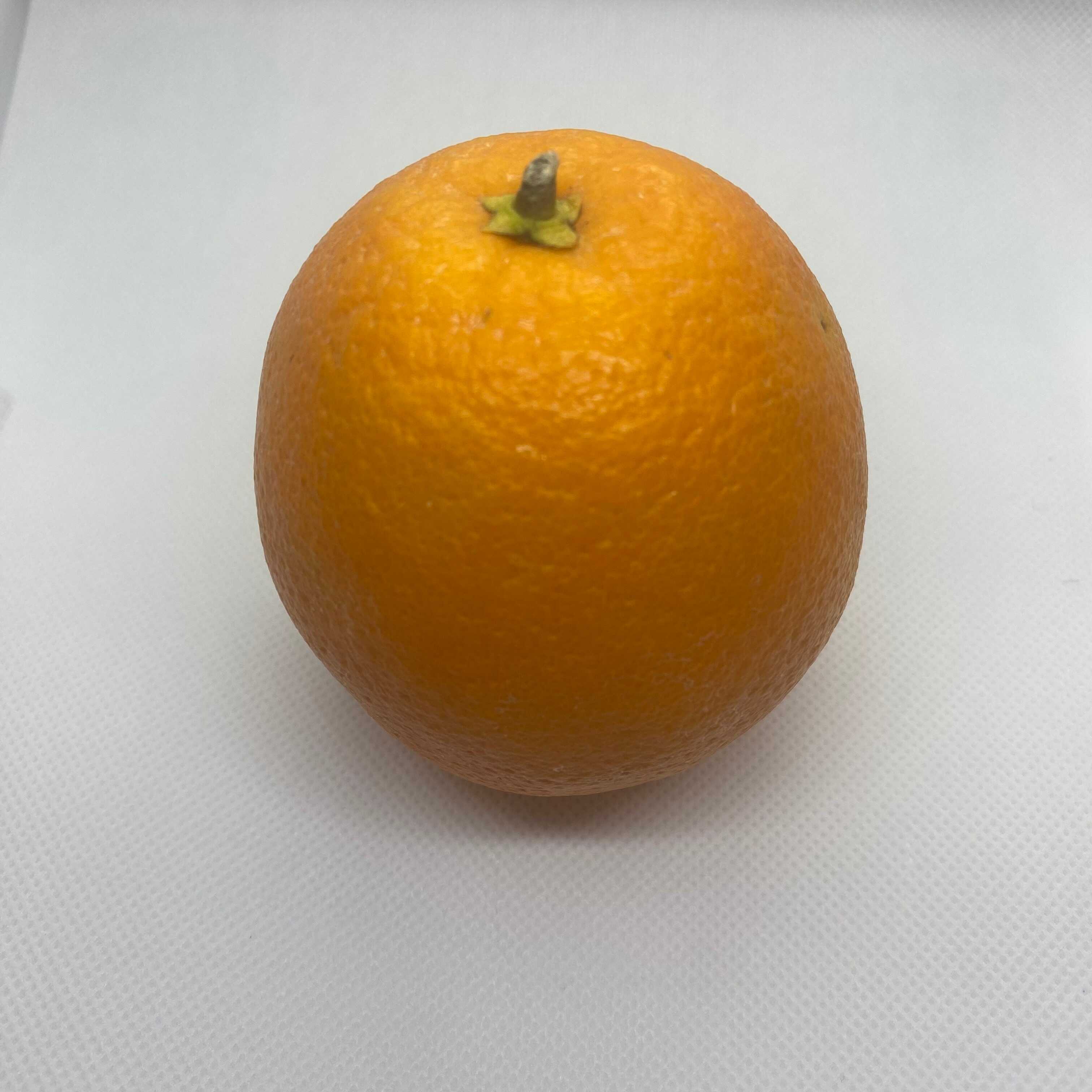 Front shot of the orange