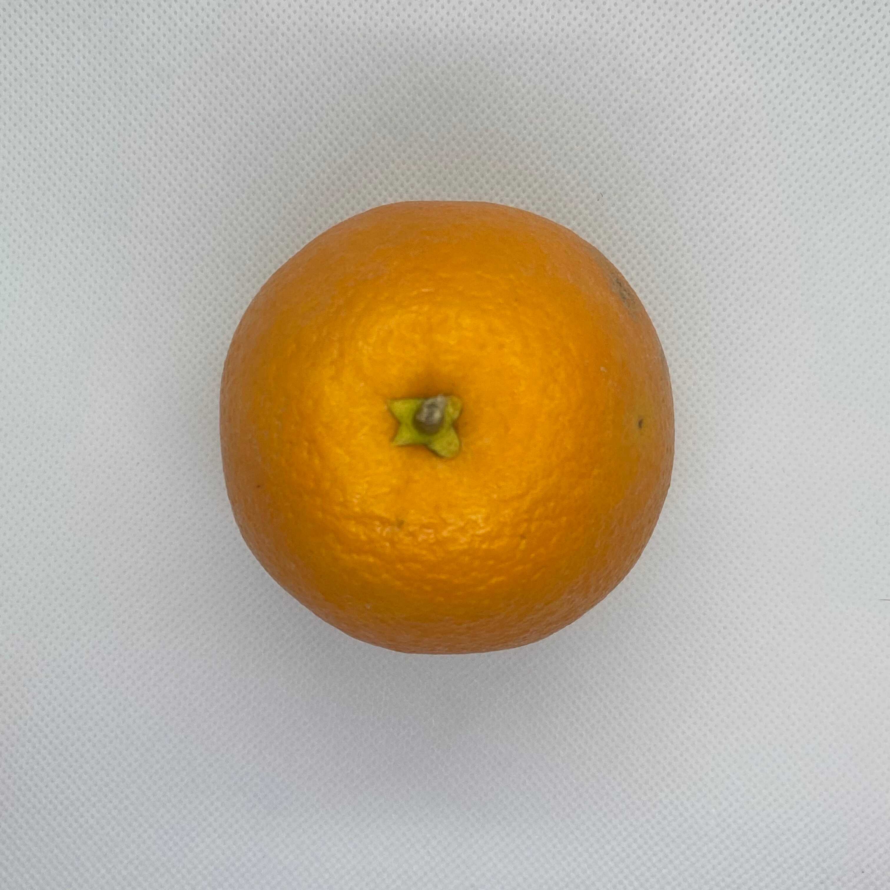 top shot of the orange showcasing its stem